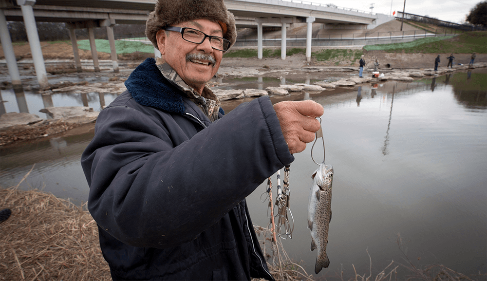 Come on in, the fish are fine!