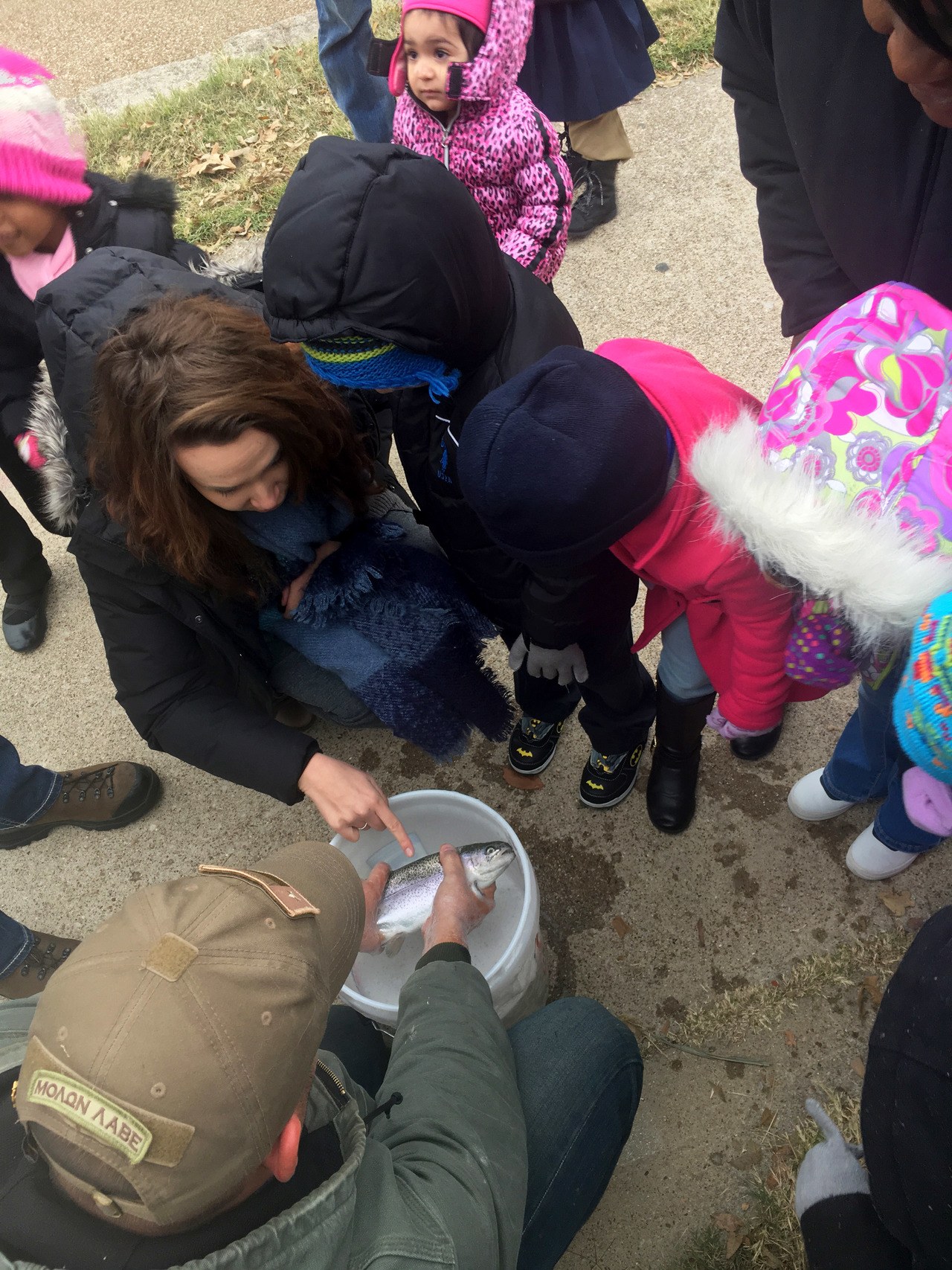 TRWD Trout Release