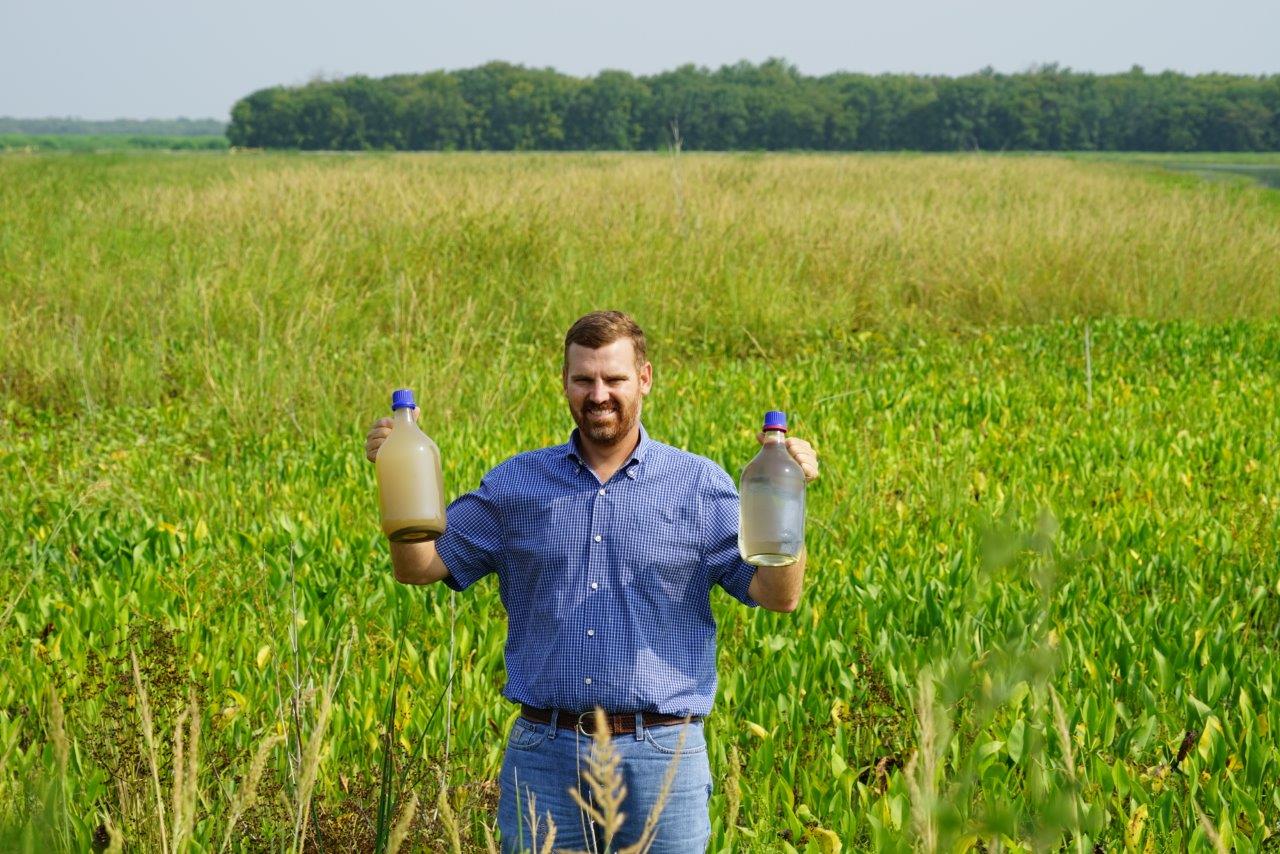 Wetlands transform a murky mess into viable water supply