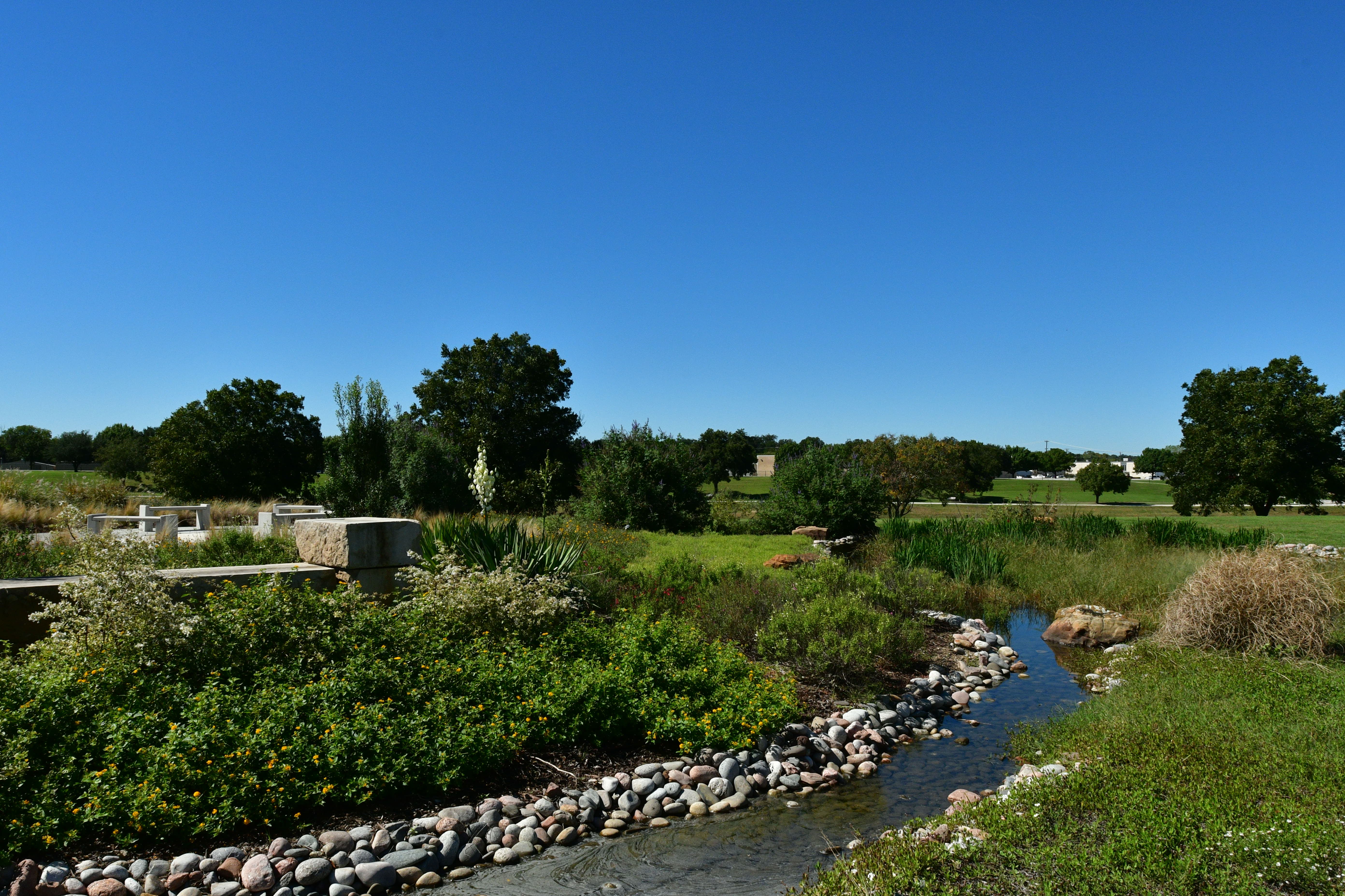 Gardening in North Texas | TRWD