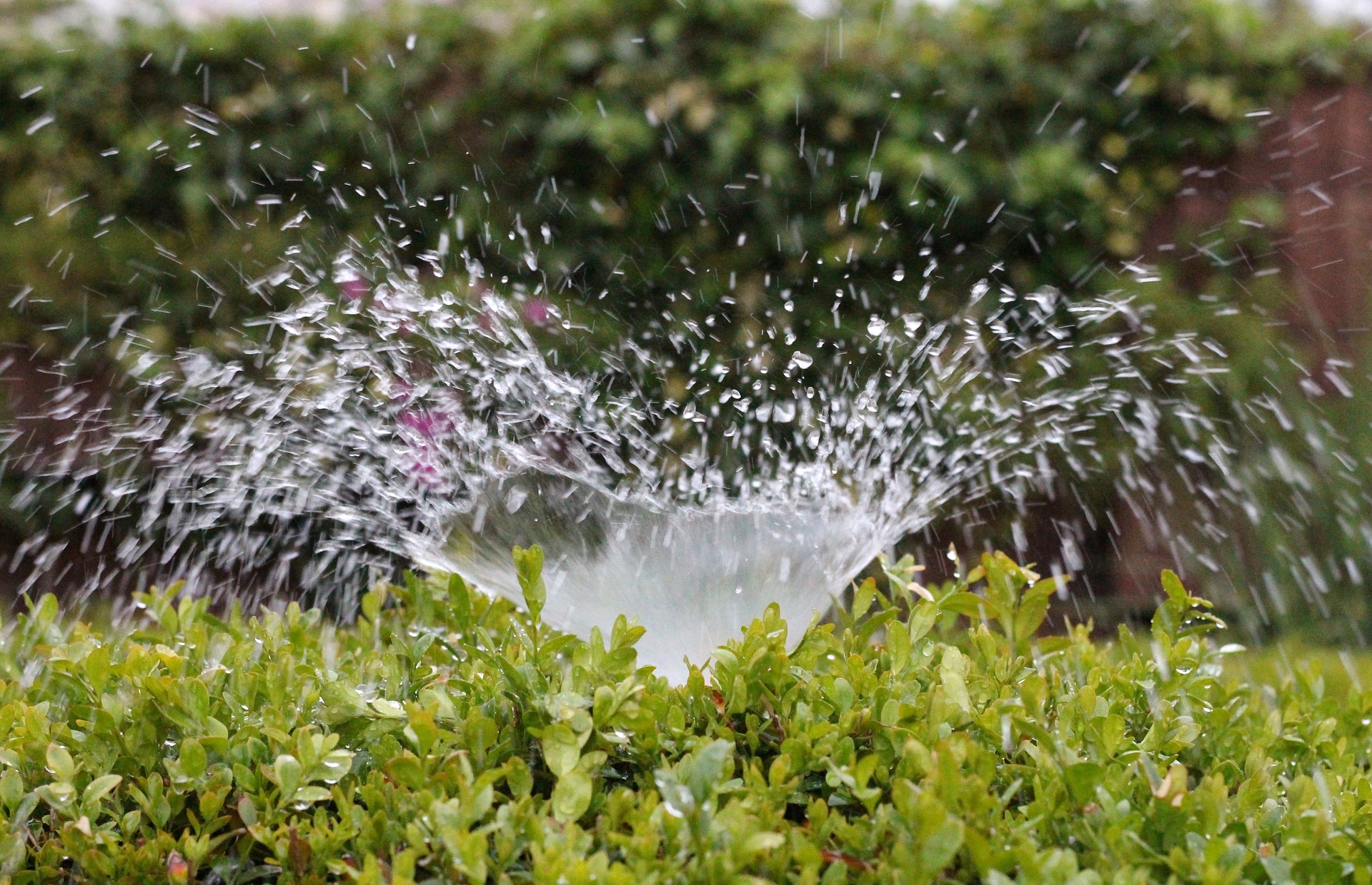 What are your sprinklers doing while you sleep?