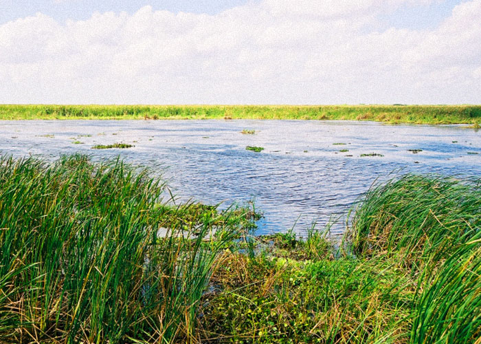 TRWD set to build second wetlands water supply project near Cedar Creek Lake