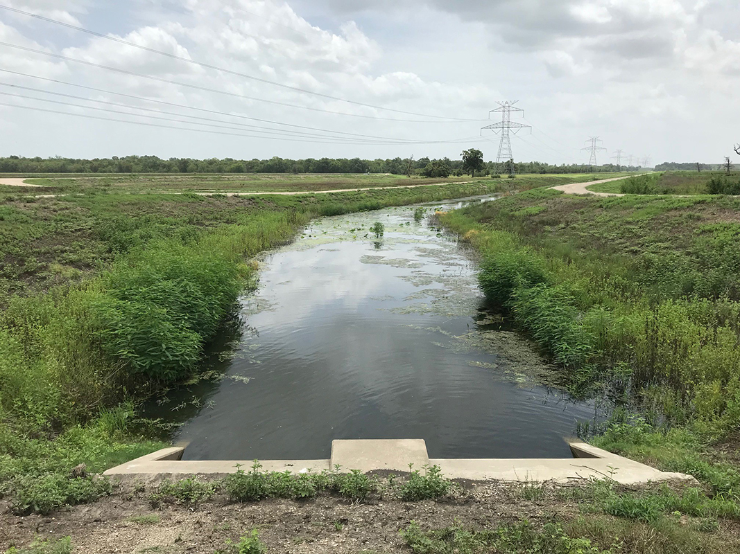 National Parks & Recreation Month: Wetlands Project