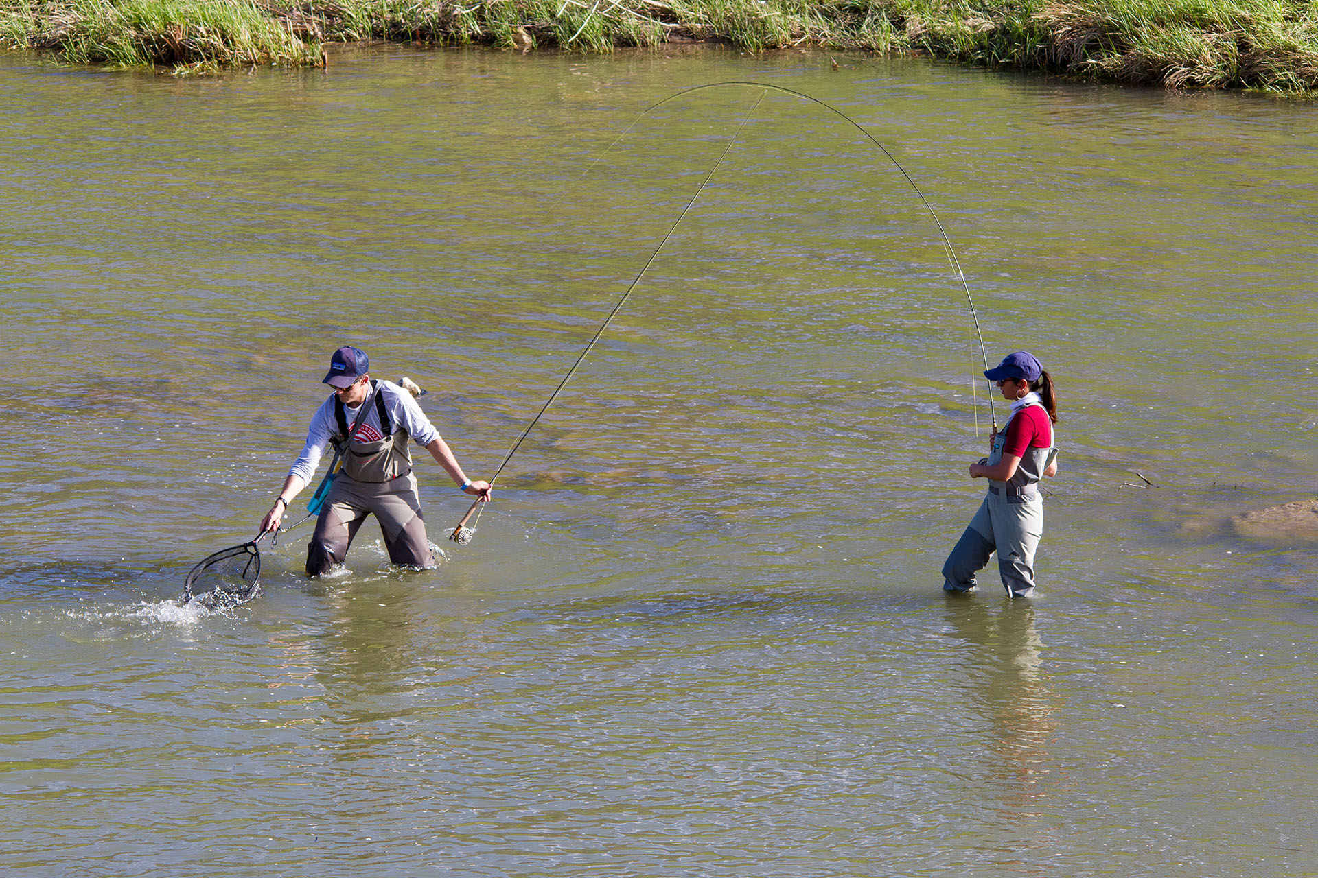 Trout Stocking Dates