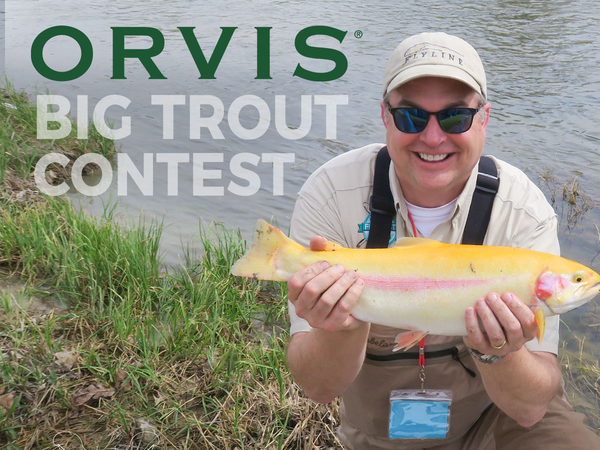 Orvis Big Trout Contest