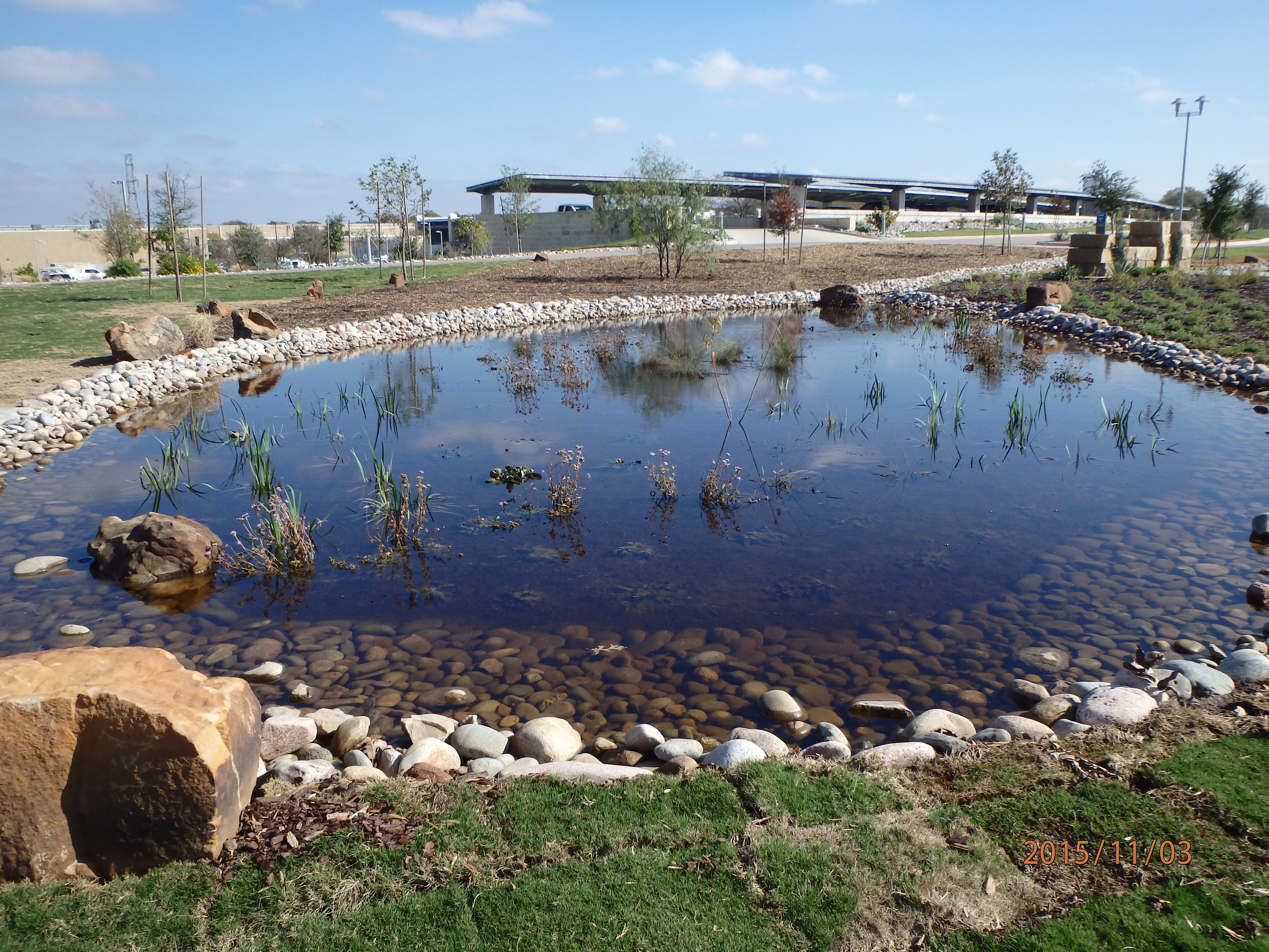 Better landscaping; TRWD leads by example at its Fort Worth office