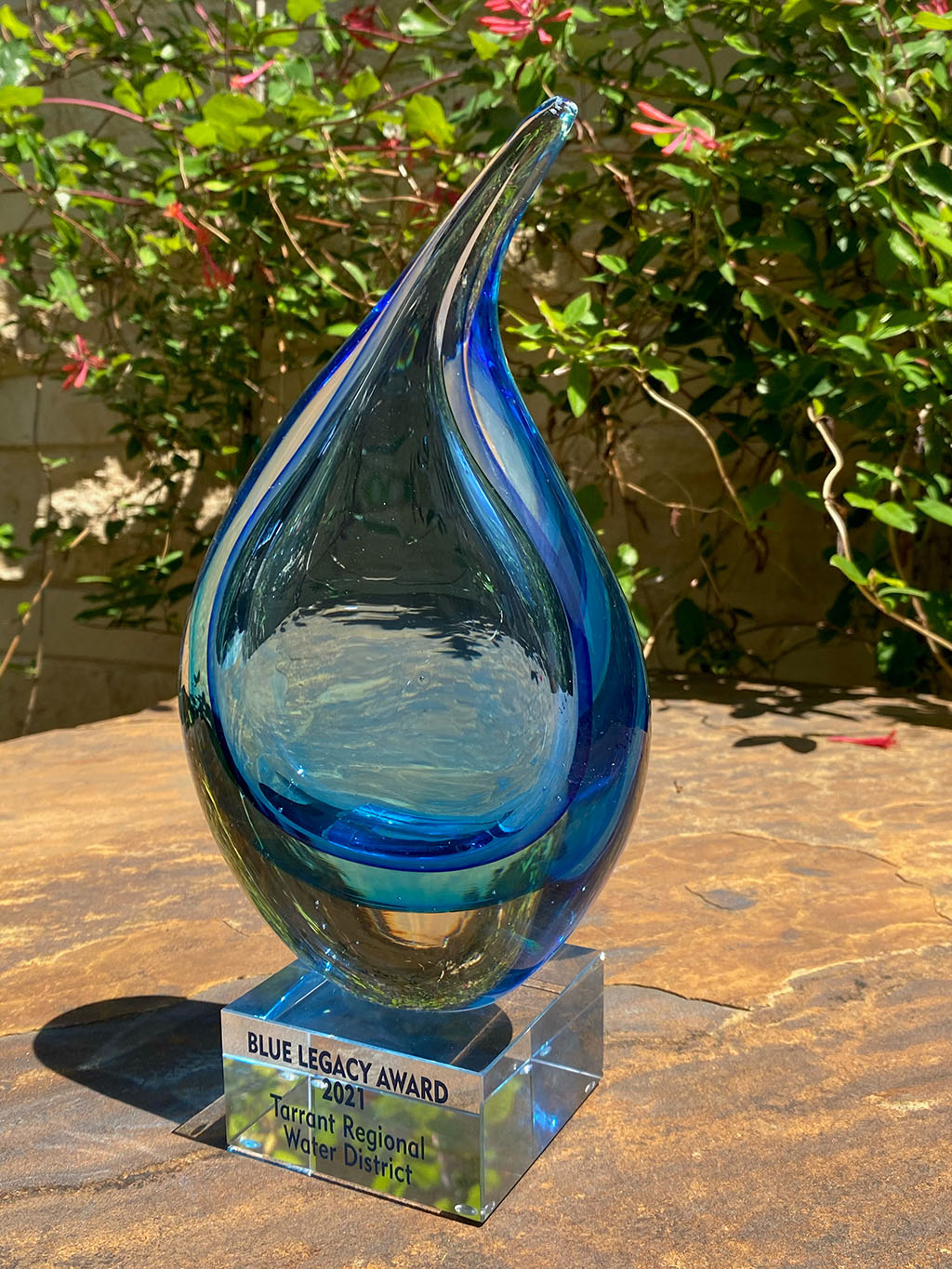 TRWD receives 2021 Blue Legacy Award from the Water Conservation Advisory Council