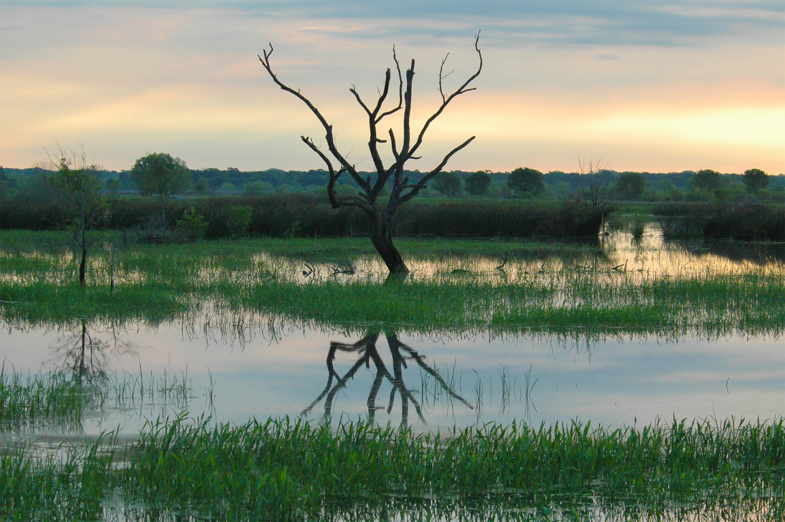 2021 Water Conservation was a success for TRWD