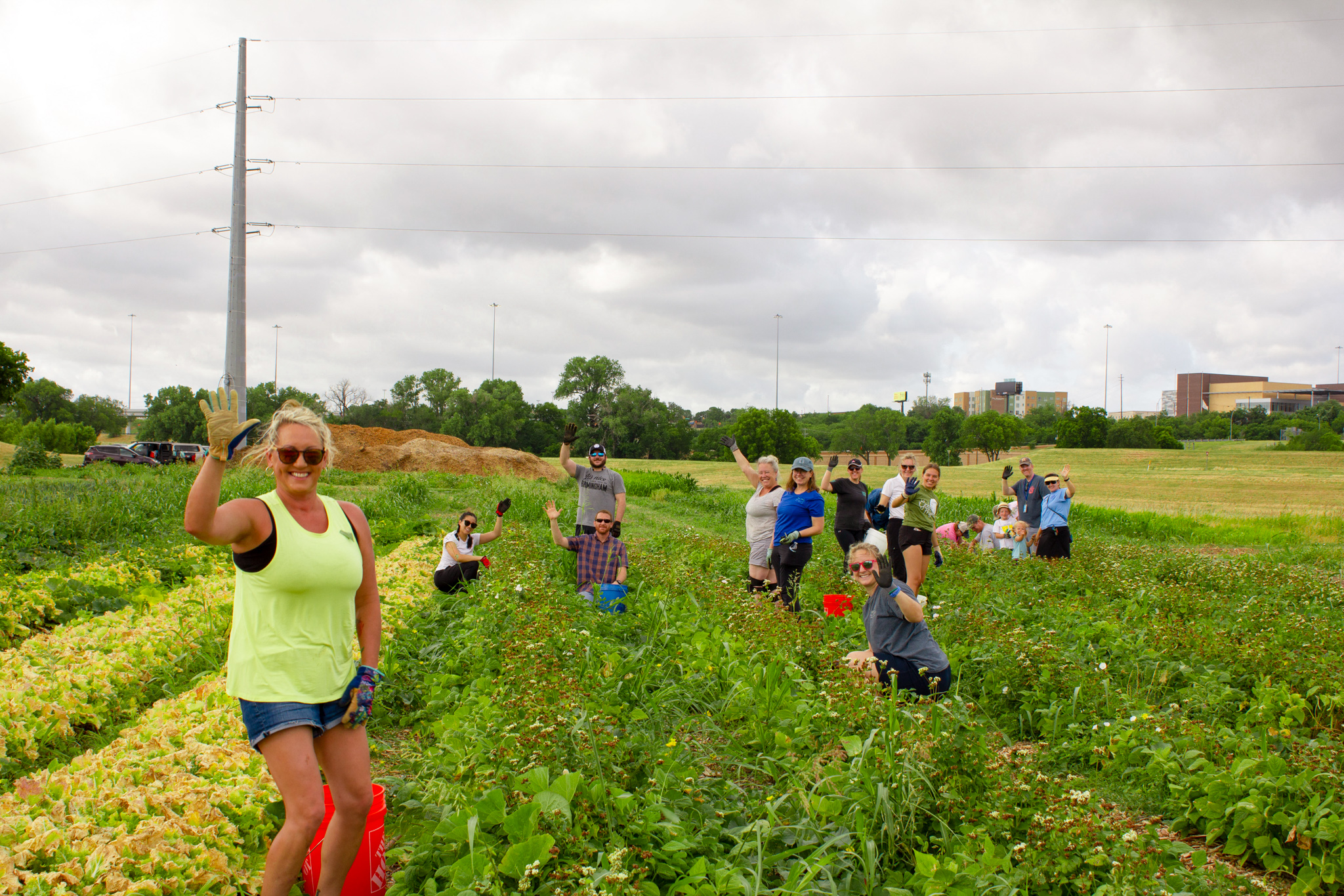 TRWD, Opal’s Farm partnership establishes roots of urban farm movement