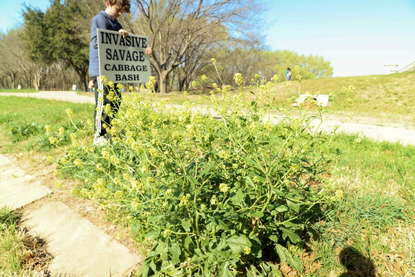 The Savage Cabbage Bash in March 2022 was a huge success