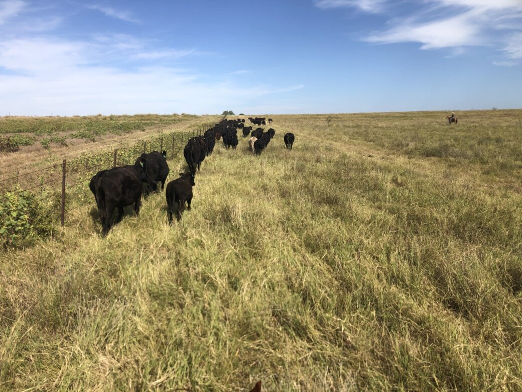 Rural ranches making a big impact on water quality in District’s watersheds