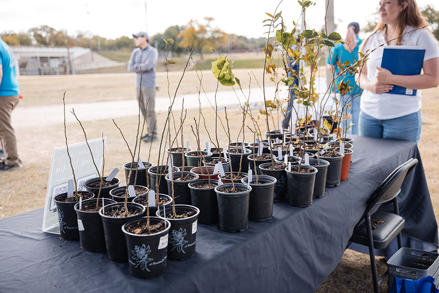 Arbor Day 2025 volunteers planting trees, photo 6 of 13