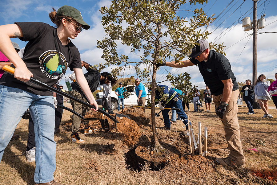 Arbor Day 2025 volunteers planting trees, photo 1 of 13