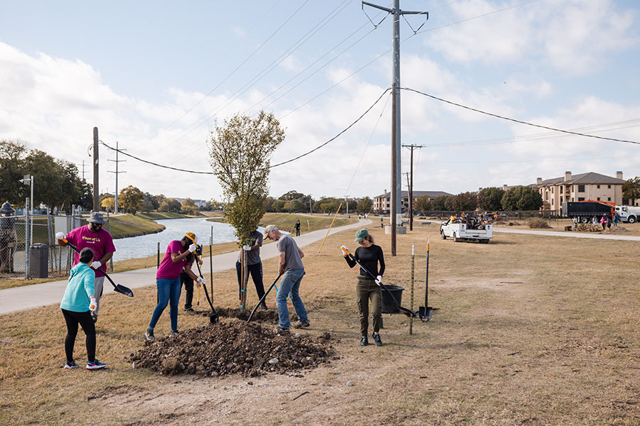 Arbor Day 2025 volunteers planting trees, photo 3 of 13