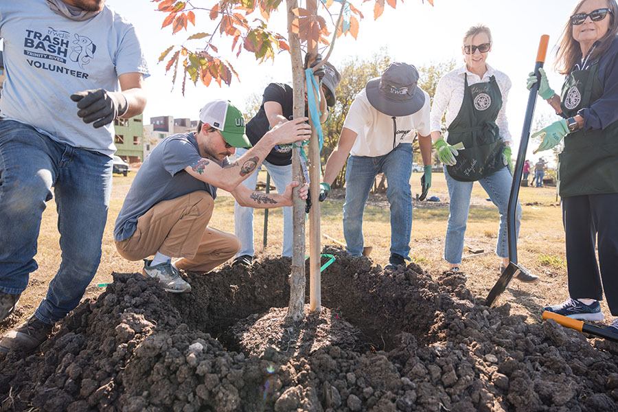 Volunteers planting a tree at a previous Arbor Day event