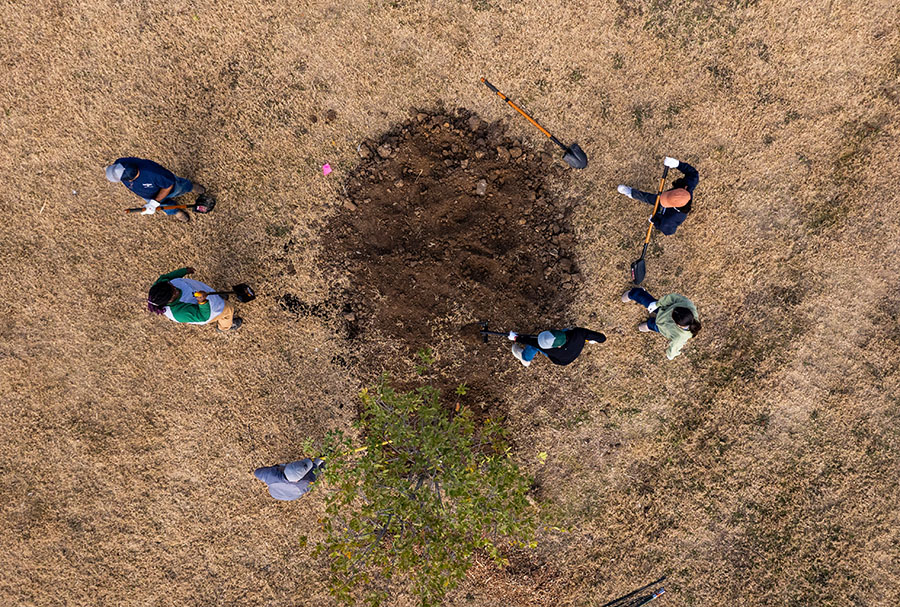 Arbor Day 2025 volunteers planting trees, photo 5 of 13