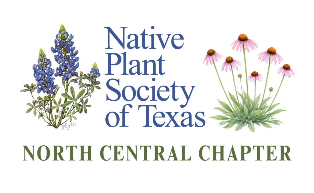 Native Plant Society of Texas logo