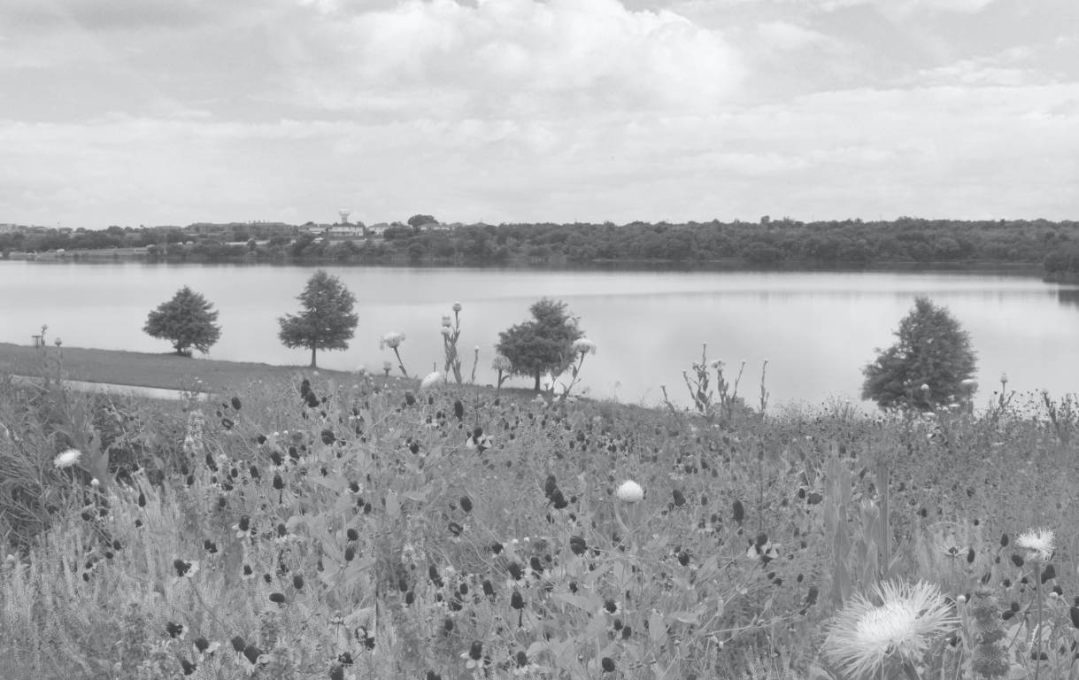 1958 Marine Creek Dam