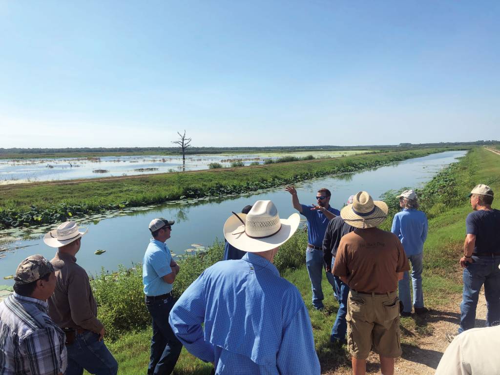 2013 Shannon Wetlands